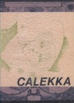 Rückseite